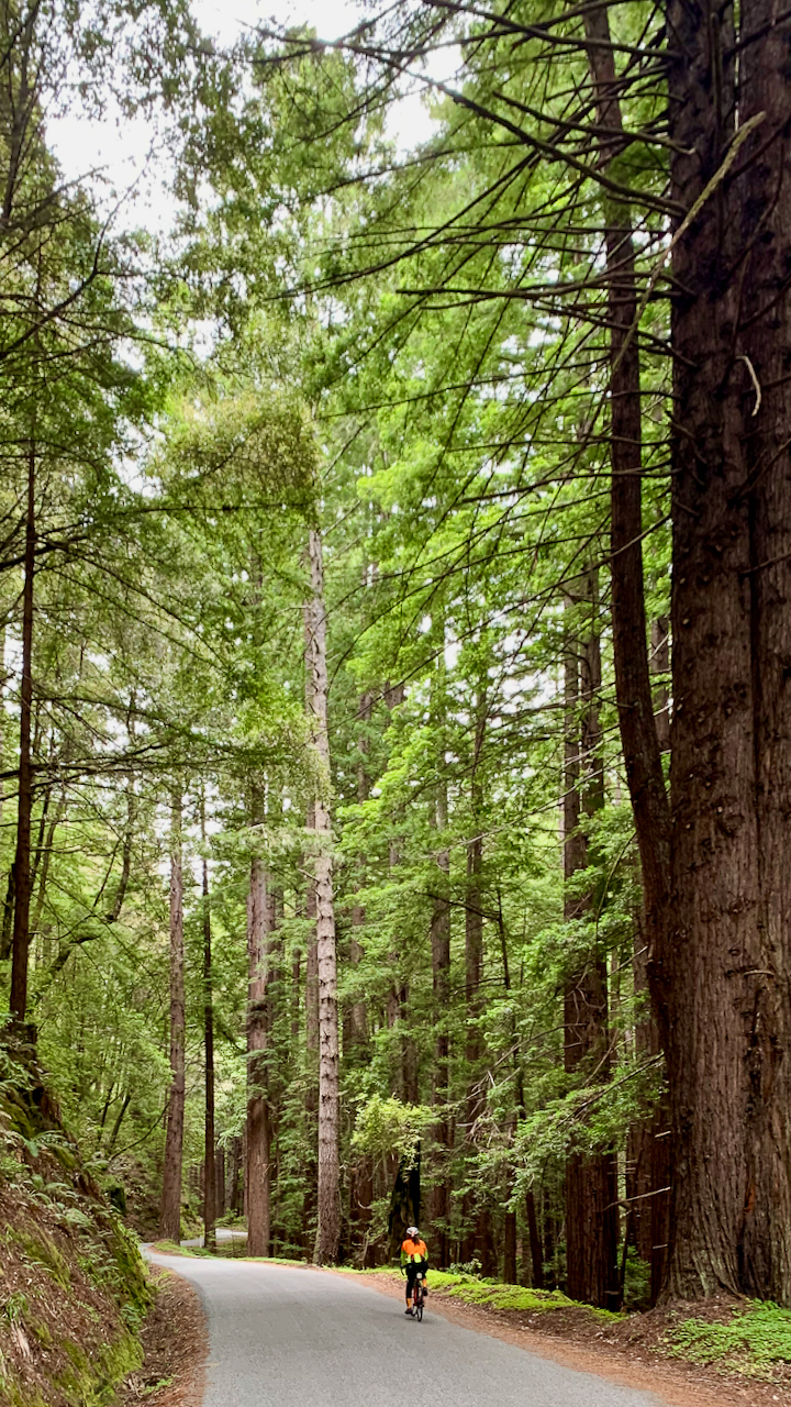 Among the Giants.jpg